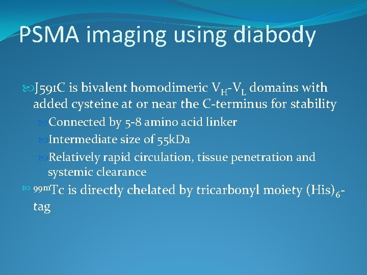 PSMA imaging using diabody J 591 C is bivalent homodimeric VH-VL domains with added