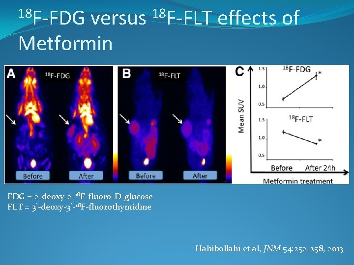 18 F-FDG versus 18 F-FLT effects of Metformin FDG = 2 -deoxy-2 -18 F-fluoro-D-glucose