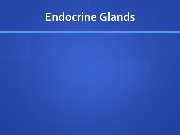 Endocrine Glands 