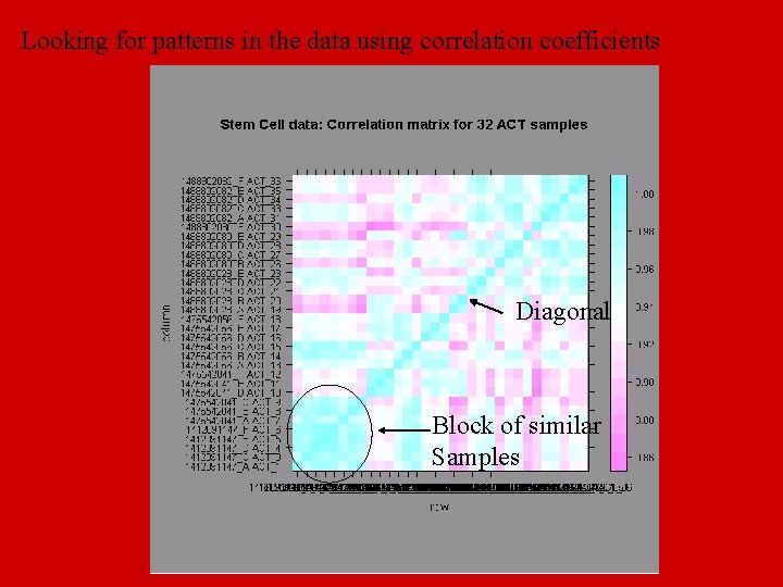 Looking for patterns in the data using correlation coefficients Diagonal Block of similar Samples