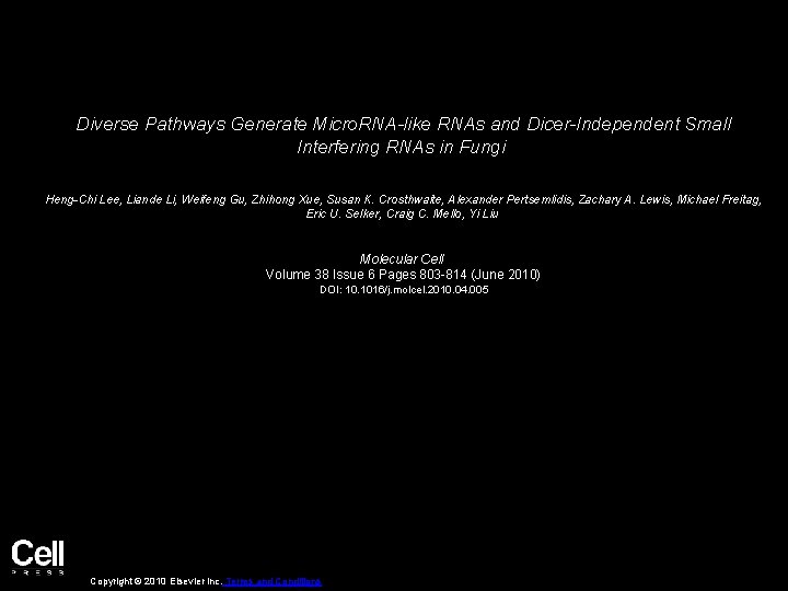 Diverse Pathways Generate Micro. RNA-like RNAs and Dicer-Independent Small Interfering RNAs in Fungi Heng-Chi