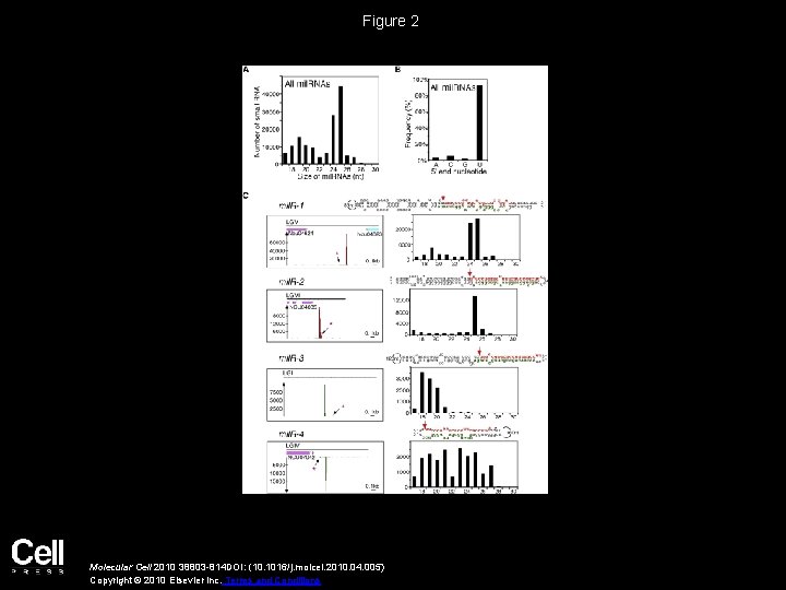 Figure 2 Molecular Cell 2010 38803 -814 DOI: (10. 1016/j. molcel. 2010. 04. 005)