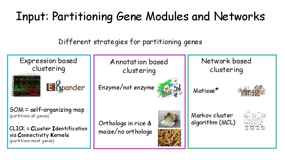 Input: Partitioning Gene Modules and Networks Different strategies for partitioning genes Expression based clustering