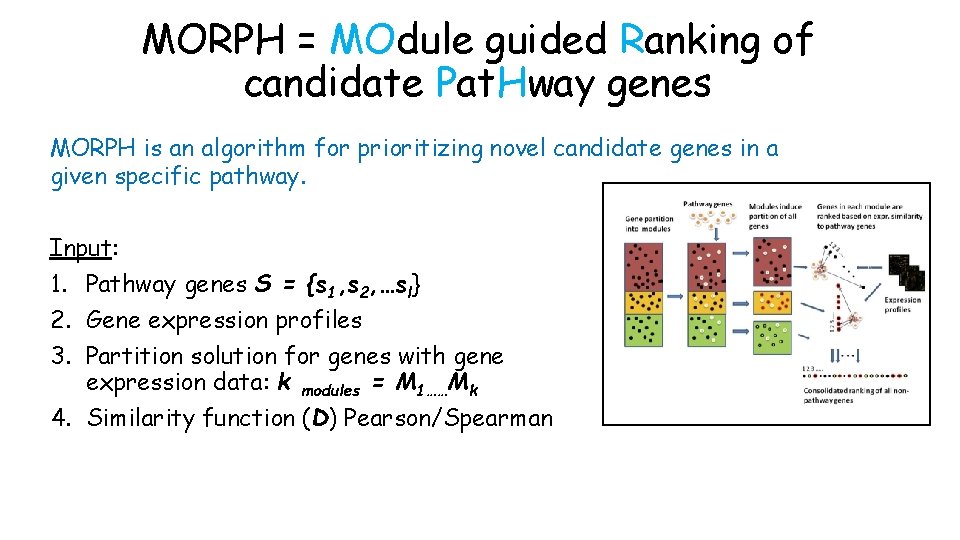 MORPH = MOdule guided Ranking of candidate Pat. Hway genes MORPH is an algorithm