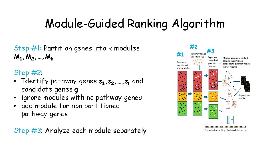 Module-Guided Ranking Algorithm Step #1: Partition genes into k modules M 1, M 2,