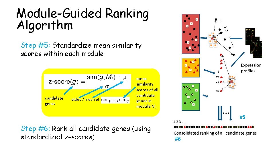 Module-Guided Ranking Algorithm Step #5: Standardize mean similarity scores within each module candidate genes