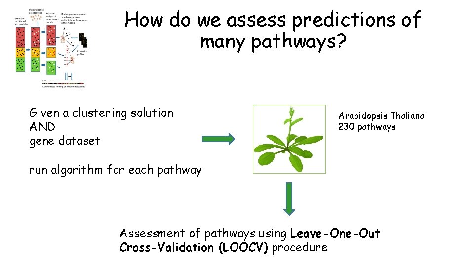 How do we assess predictions of many pathways? Given a clustering solution AND gene
