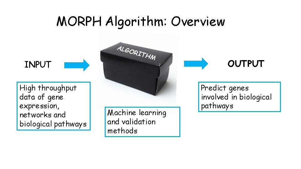 MORPH Algorithm: Overview ALG INPUT High throughput data of gene expression, networks and biological