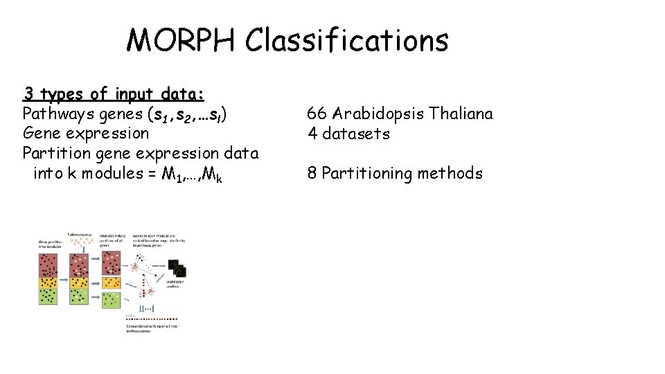 MORPH Classifications 3 types of input data: Pathways genes (s 1, s 2, …sl)