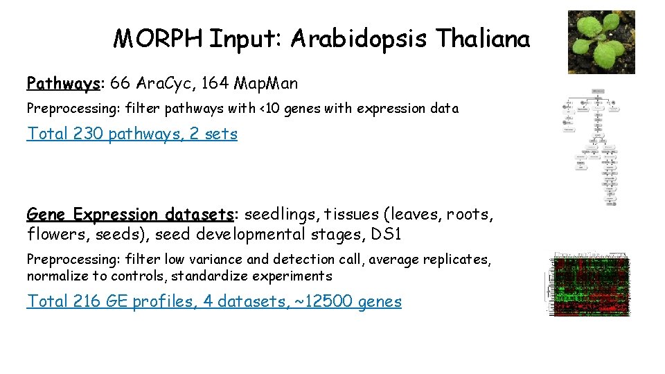 MORPH Input: Arabidopsis Thaliana Pathways: 66 Ara. Cyc, 164 Map. Man Preprocessing: filter pathways