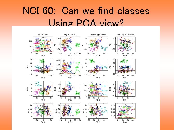 NCI 60: Can we find classes Using PCA view? 