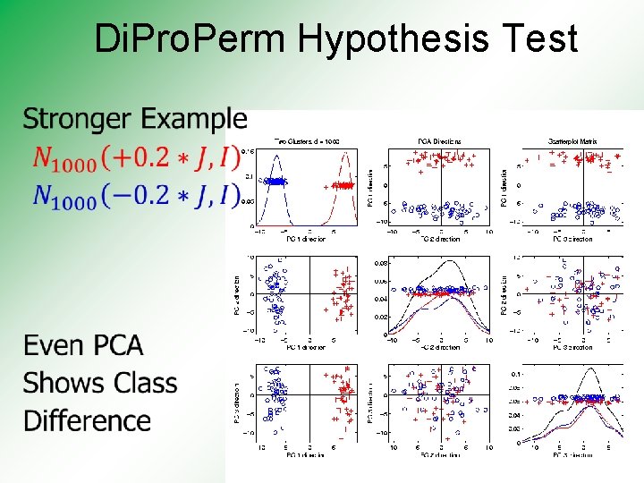 Di. Pro. Perm Hypothesis Test 