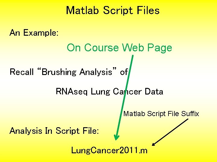 Matlab Script Files An Example: On Course Web Page Recall “Brushing Analysis” of RNAseq