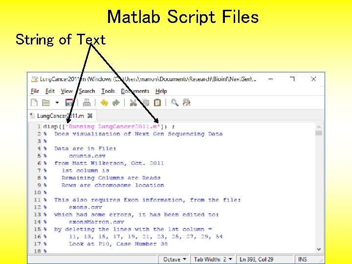 Matlab Script Files String of Text 