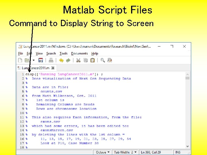 Matlab Script Files Command to Display String to Screen 