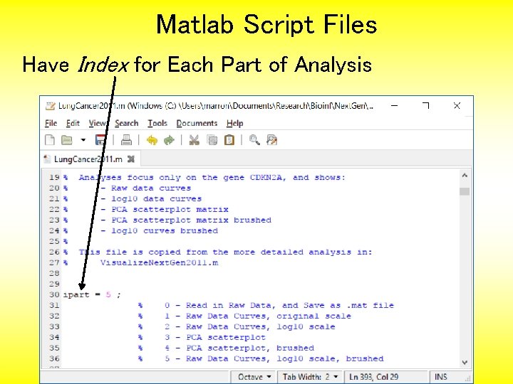 Matlab Script Files Have Index for Each Part of Analysis 