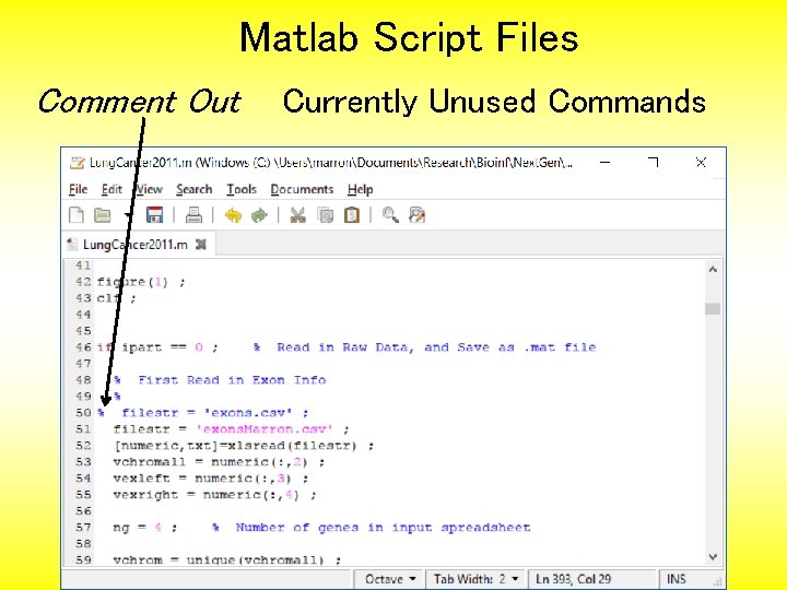 Matlab Script Files Comment Out Currently Unused Commands 