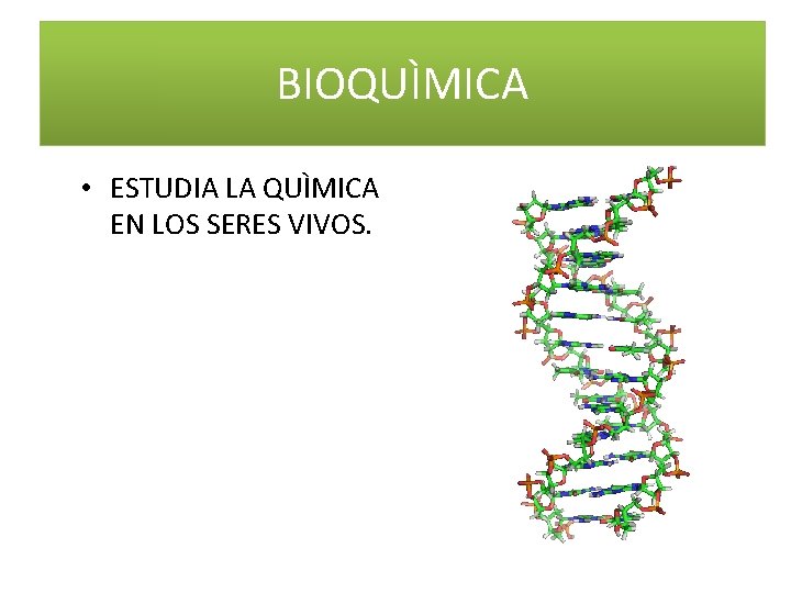 BIOQUÌMICA • ESTUDIA LA QUÌMICA EN LOS SERES VIVOS. BIOQUÌMICA • ESTUDIA LA QUÌMICA EN LOS SERES VIVOS.