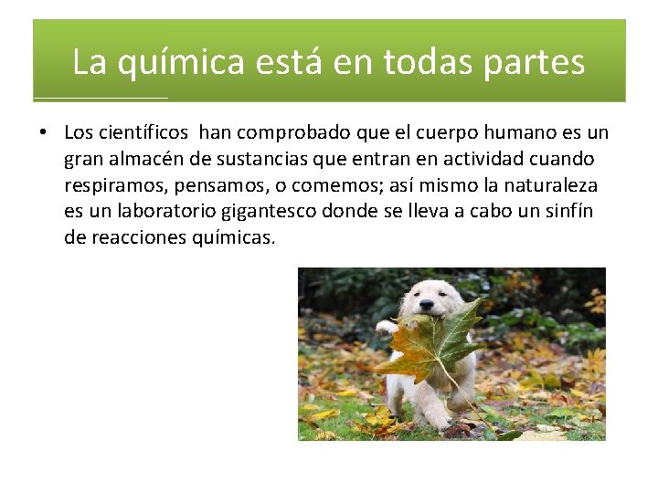 La química está en todas partes • Los científicos han comprobado que el cuerpo La química está en todas partes • Los científicos han comprobado que el cuerpo
