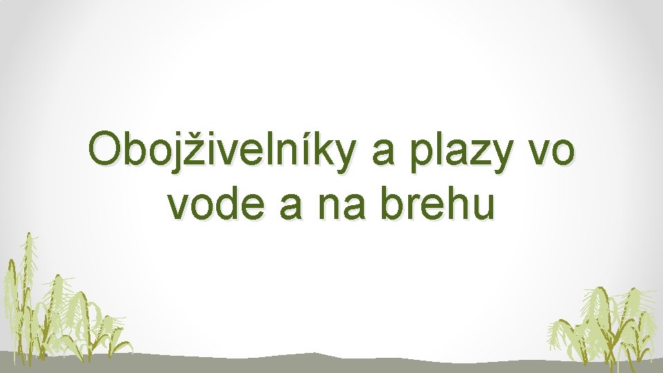 Obojživelníky a plazy vo vode a na brehu 