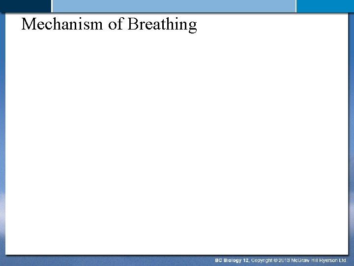 Mechanism of Breathing 