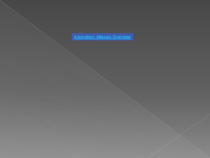 Animation: Meiosis Overview 