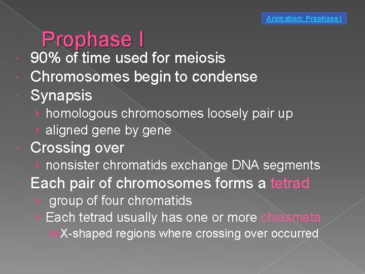 Animation: Prophase I 90% of time used for meiosis Chromosomes begin to condense Synapsis