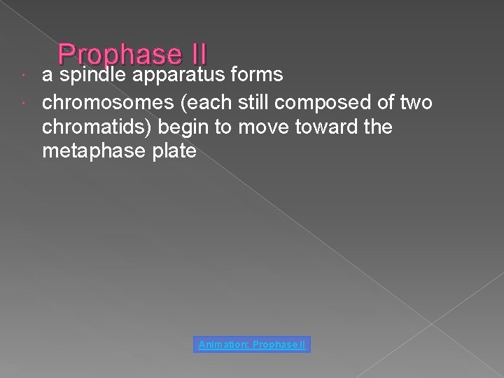 Prophase II a spindle apparatus forms chromosomes (each still composed of two chromatids) begin