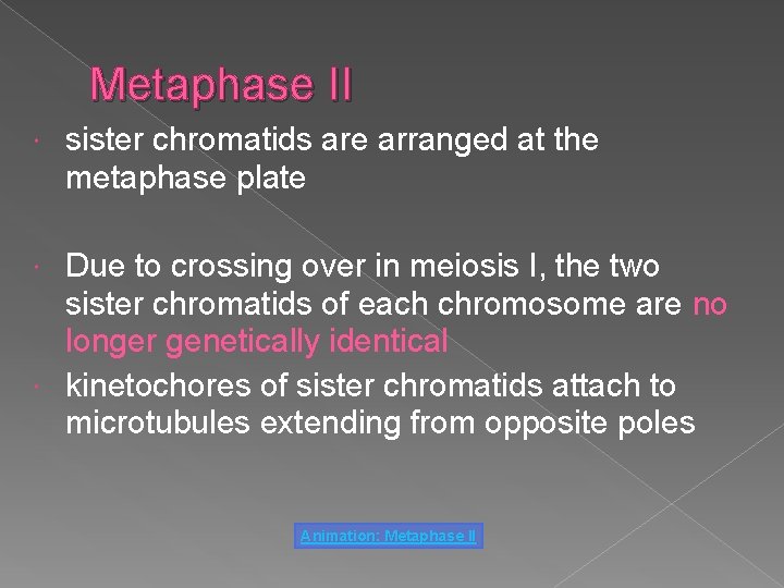 Metaphase II sister chromatids are arranged at the metaphase plate Due to crossing over
