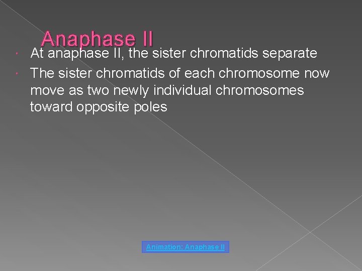 Anaphase II At anaphase II, the sister chromatids separate The sister chromatids of each