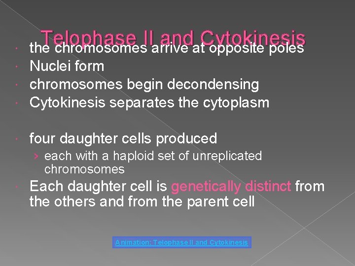  Telophase II and Cytokinesis the chromosomes arrive at opposite poles Nuclei form chromosomes