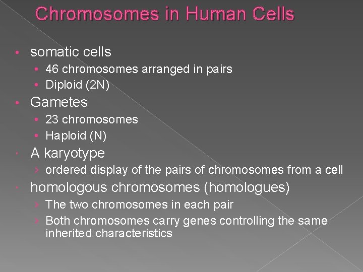 Chromosomes in Human Cells • somatic cells • 46 chromosomes arranged in pairs •