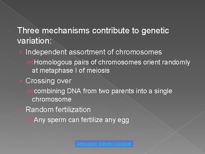  Three mechanisms contribute to genetic variation: › Independent assortment of chromosomes Homologous pairs