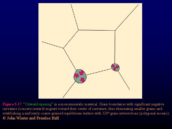 Figure 3 -17. “Ostwald ripening” in a monomineralic material. Grain boundaries with significant negative