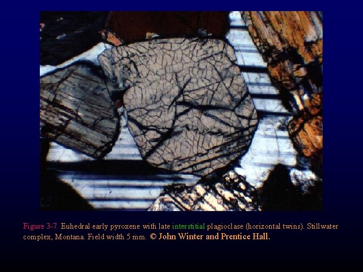 Figure 3 -7. Euhedral early pyroxene with late interstitial plagioclase (horizontal twins). Stillwater complex,