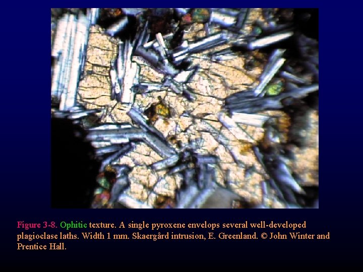 Figure 3 -8. Ophitic texture. A single pyroxene envelops several well-developed plagioclase laths. Width