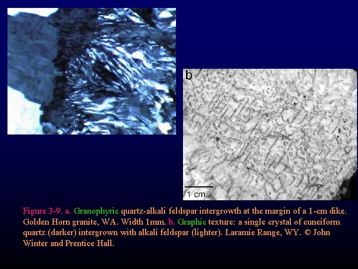 Figure 3 -9. a. Granophyric quartz-alkali feldspar intergrowth at the margin of a 1