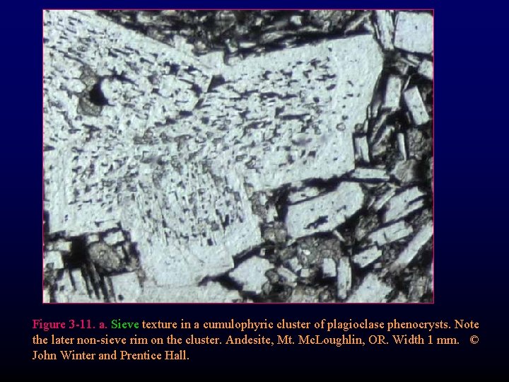 Figure 3 -11. a. Sieve texture in a cumulophyric cluster of plagioclase phenocrysts. Note