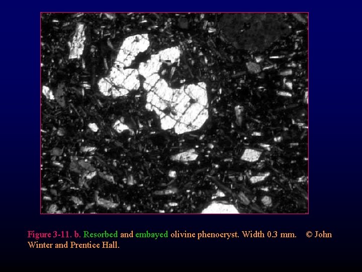 Figure 3 -11. b. Resorbed and embayed olivine phenocryst. Width 0. 3 mm. ©