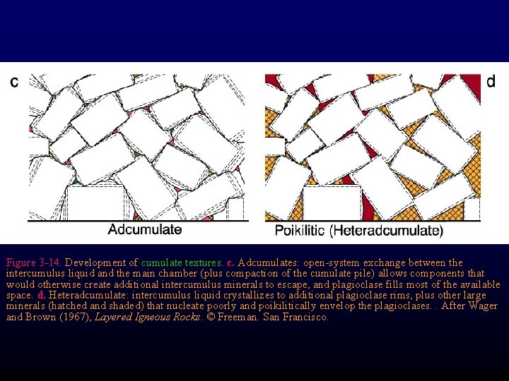 Figure 3 -14. Development of cumulate textures. c. Adcumulates: open-system exchange between the intercumulus