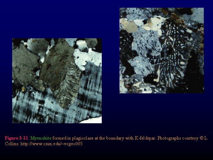 Figure 3 -21. Myrmekite formed in plagioclase at the boundary with K-feldspar. Photographs courtesy