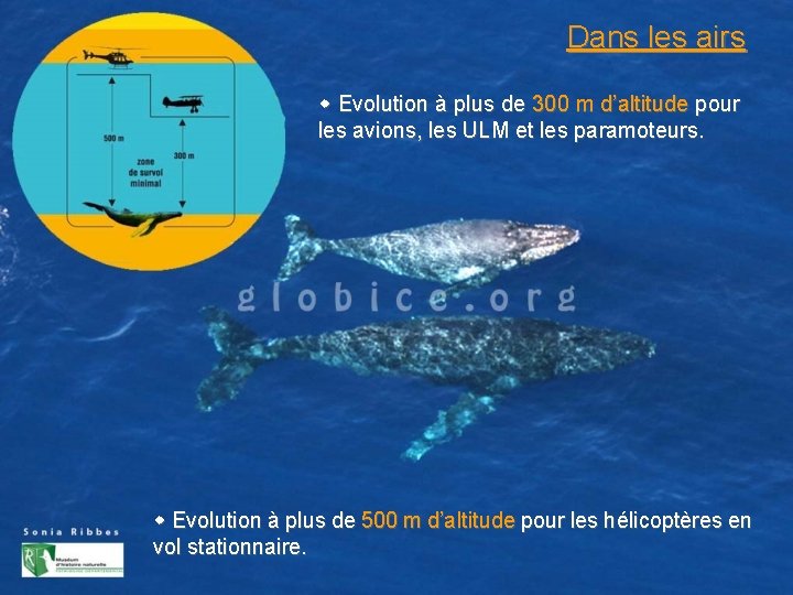 Dans les airs Evolution à plus de 300 m d’altitude pour les avions, les