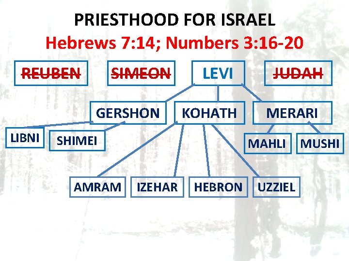 PRIESTHOOD FOR ISRAEL Hebrews 7: 14; Numbers 3: 16 -20 REUBEN SIMEON GERSHON LIBNI
