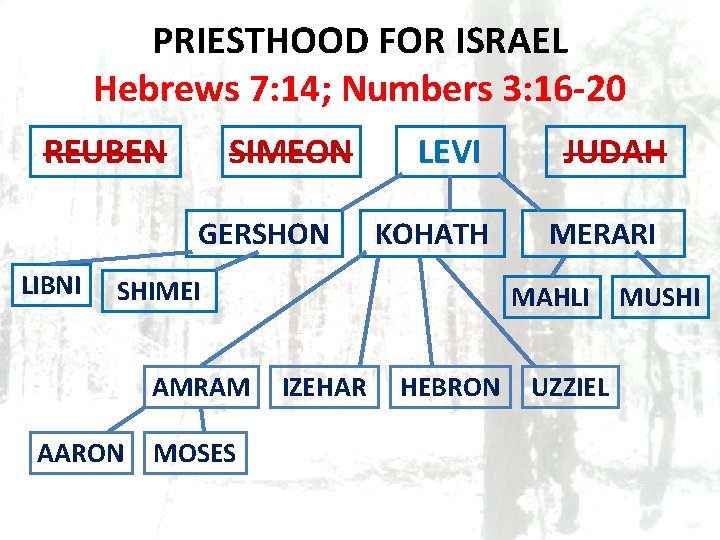 PRIESTHOOD FOR ISRAEL Hebrews 7: 14; Numbers 3: 16 -20 REUBEN SIMEON GERSHON LIBNI