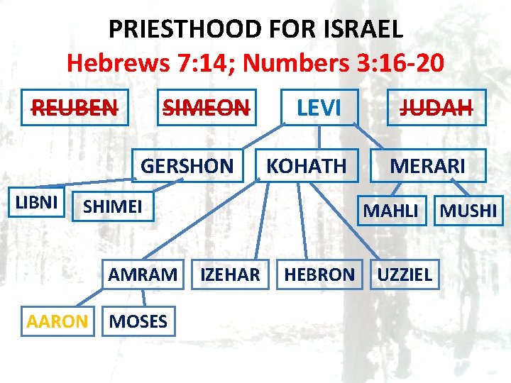 PRIESTHOOD FOR ISRAEL Hebrews 7: 14; Numbers 3: 16 -20 REUBEN SIMEON GERSHON LIBNI