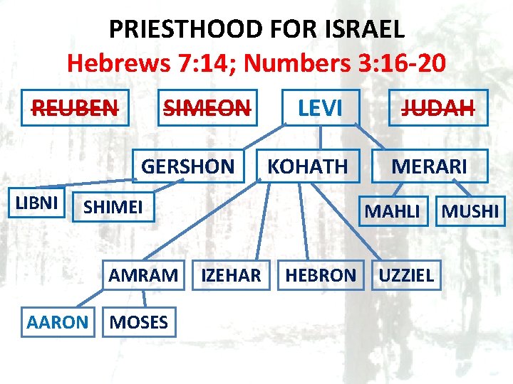 PRIESTHOOD FOR ISRAEL Hebrews 7: 14; Numbers 3: 16 -20 REUBEN SIMEON GERSHON LIBNI