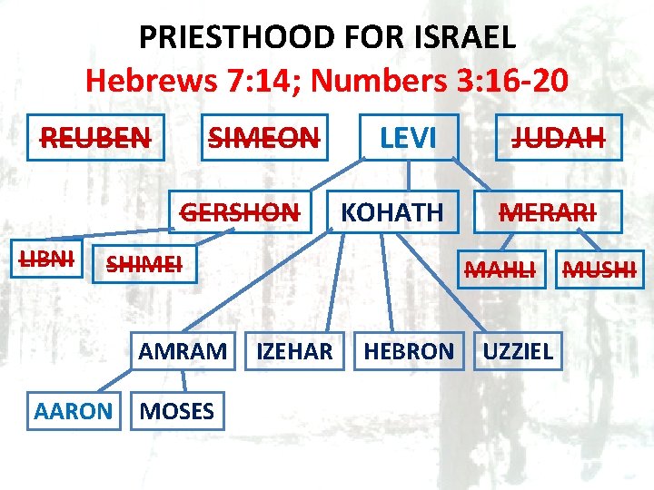 PRIESTHOOD FOR ISRAEL Hebrews 7: 14; Numbers 3: 16 -20 REUBEN SIMEON GERSHON LIBNI