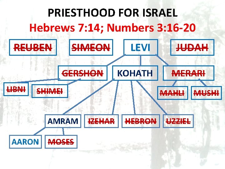 PRIESTHOOD FOR ISRAEL Hebrews 7: 14; Numbers 3: 16 -20 REUBEN SIMEON GERSHON LIBNI