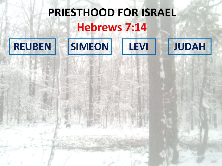 PRIESTHOOD FOR ISRAEL Hebrews 7: 14 REUBEN SIMEON LEVI JUDAH 