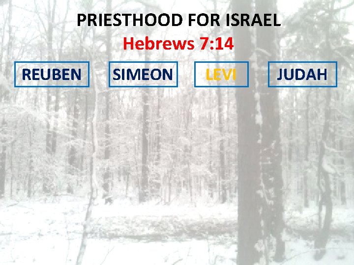 PRIESTHOOD FOR ISRAEL Hebrews 7: 14 REUBEN SIMEON LEVI JUDAH 
